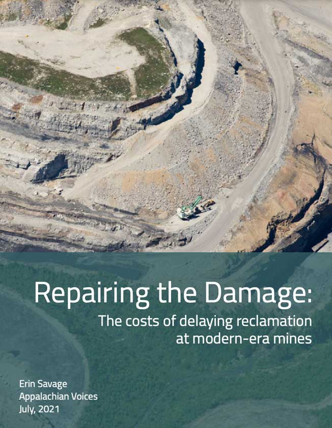 Repairing the Damage Report cover